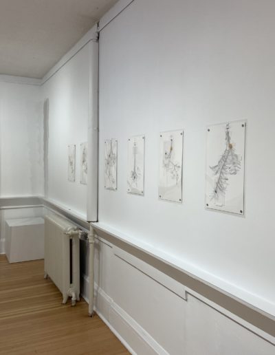 Installation view at the Smithers Art Gallery