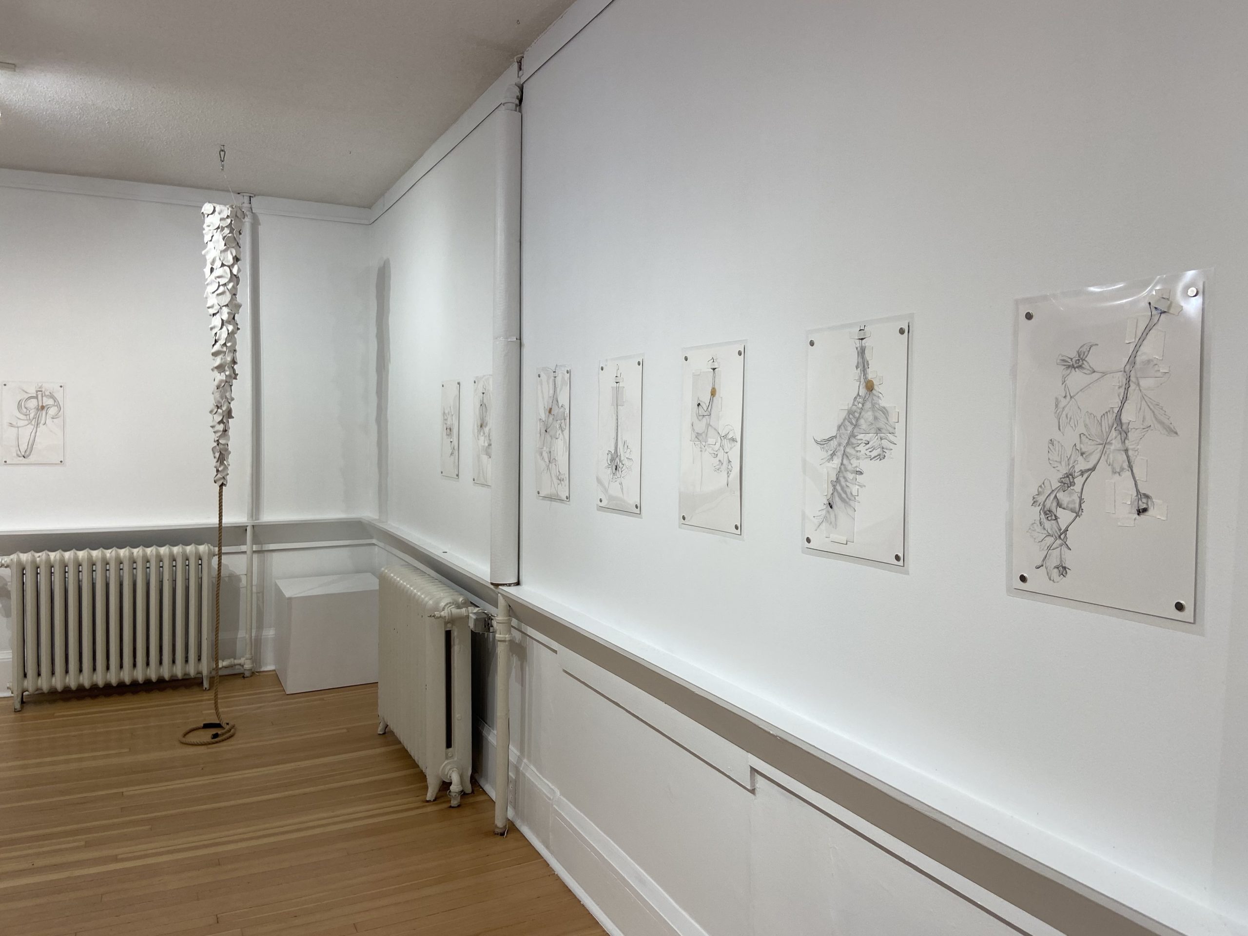 Installation view at the Smithers Art Gallery